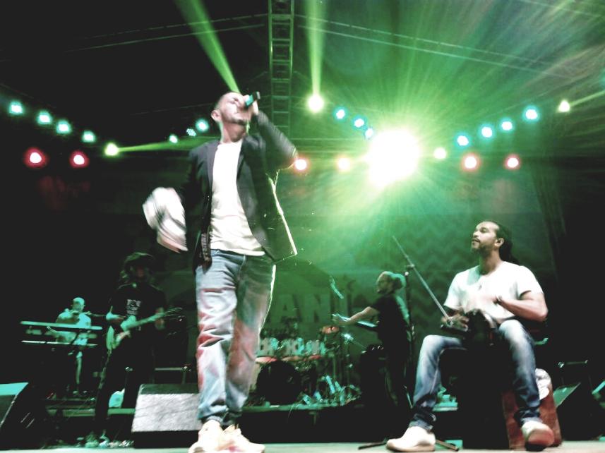 Dub inc