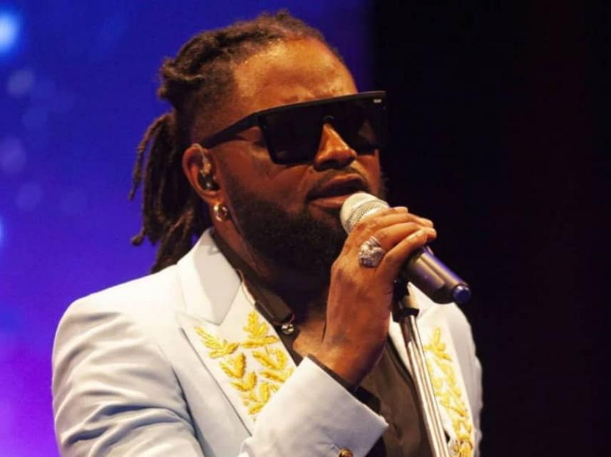 Ferre Gola en concert streaming Wildaid Africa